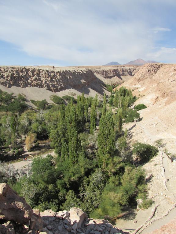 Complejo Turistico El Toconar Villa Toconao Esterno foto