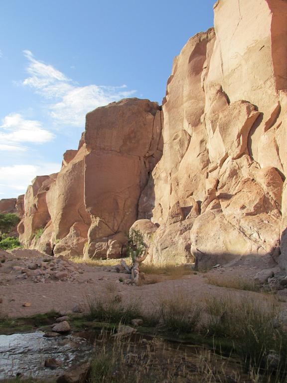 Complejo Turistico El Toconar Villa Toconao Esterno foto